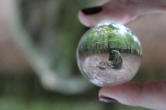 Tombeau de Merlin à travers la glassball